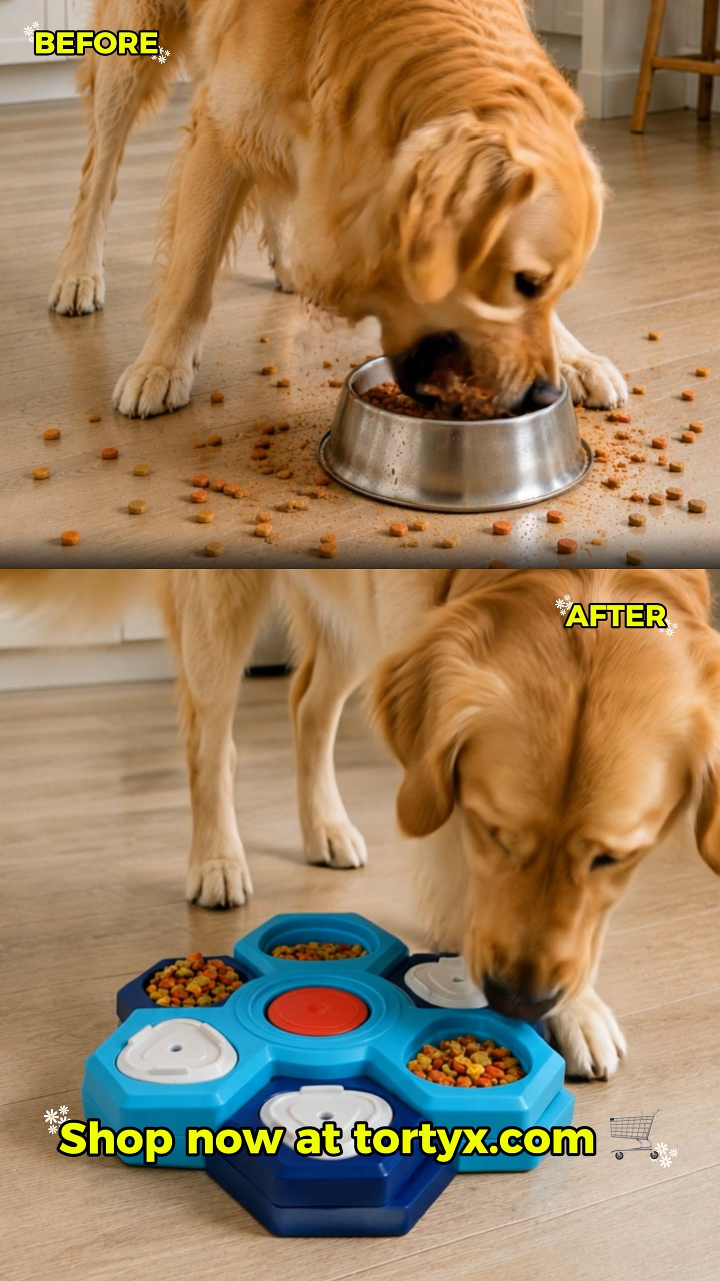 4 Layers Interactive Slow Feeder Puzzle Bowl for Dogs — Anti-Bloat, Non-Slip