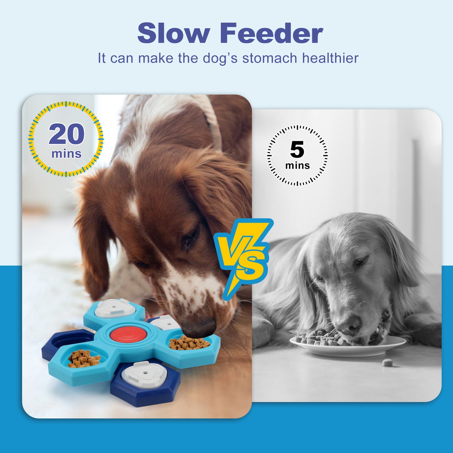 4 Layers Interactive Slow Feeder Puzzle Bowl for Dogs — Anti-Bloat, Non-Slip